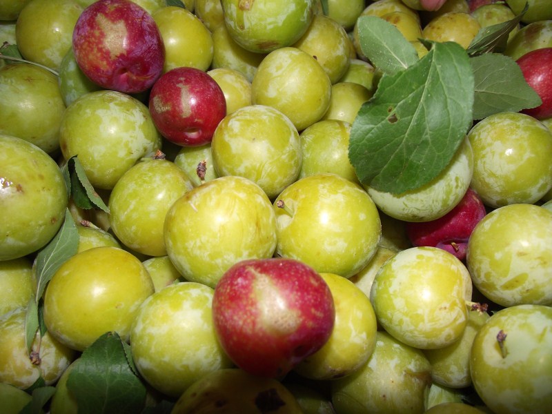 125231nhyyjvturgirsldu.jpg
