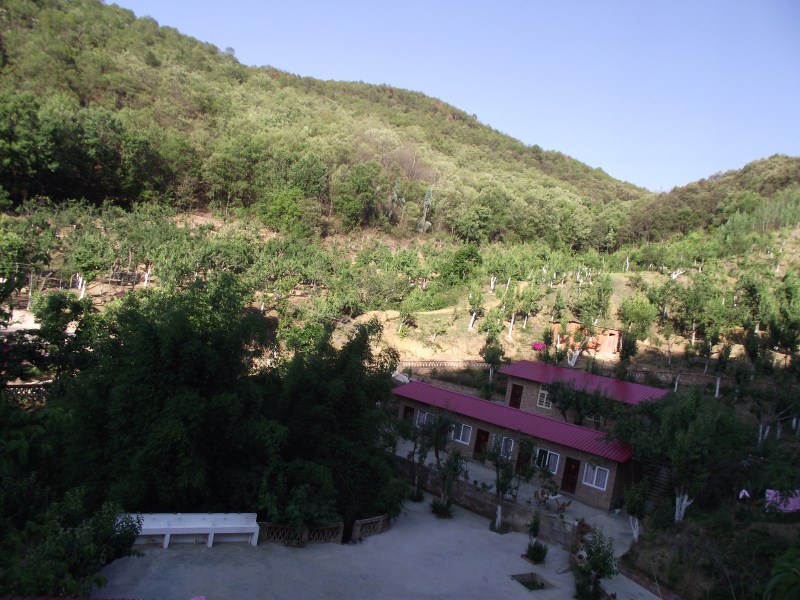 125432a77sk7ns74j9sec0.jpg