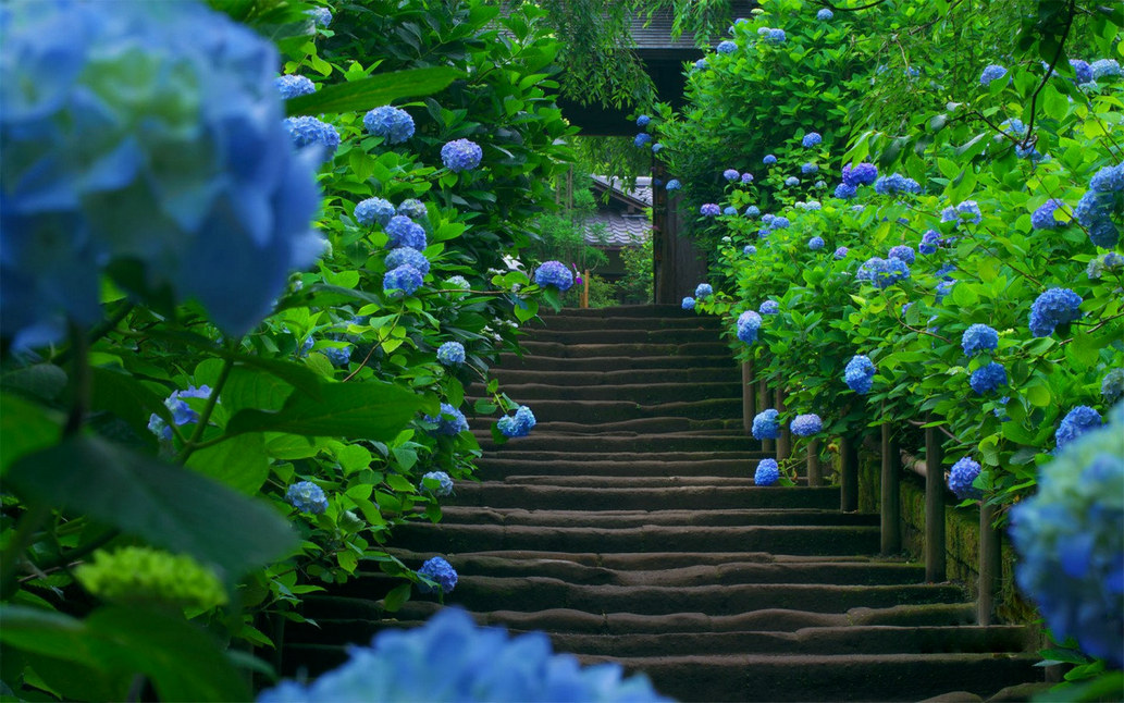 ֽ20130530094508.jpg