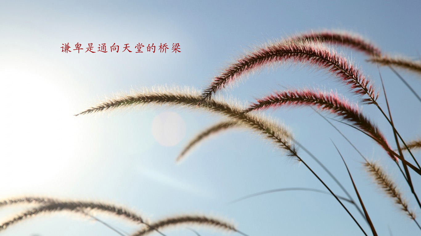 K002.jpg