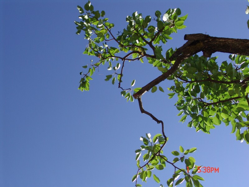 DSC09283.JPG