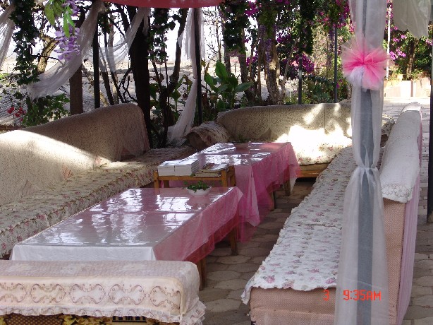 131831okzkm6ik363ikpic.jpg