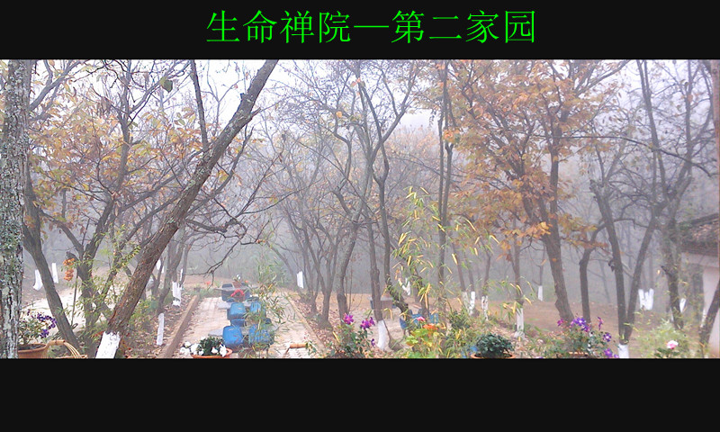 1111291815822518780a3aadb9.jpg