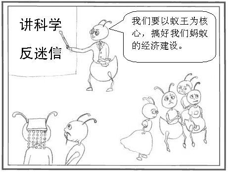 5.gif