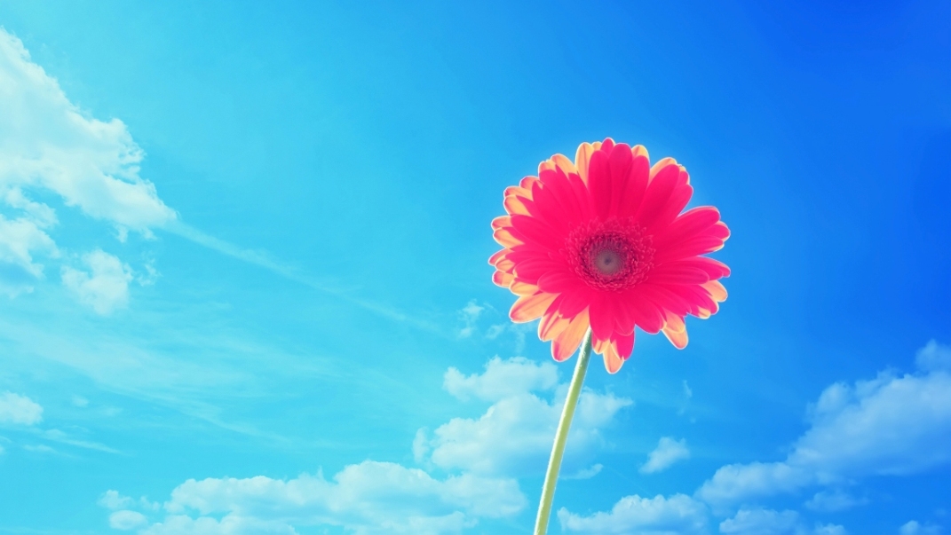 (20120919 115332188) һСΨֽͼƬ.jpg