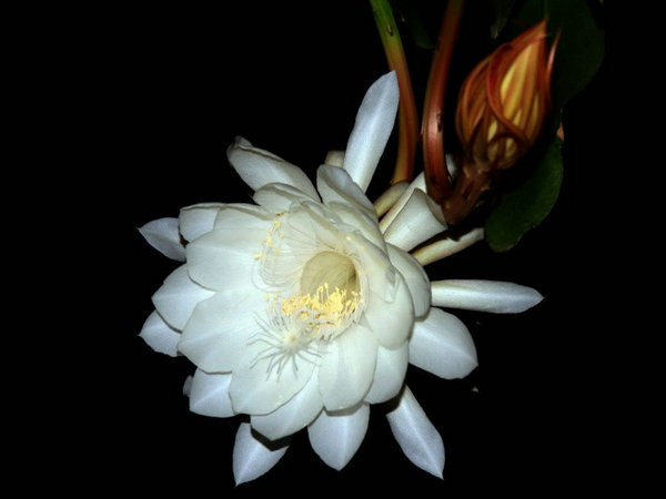 27715349_4.jpg