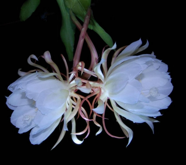 27715349_5.jpg
