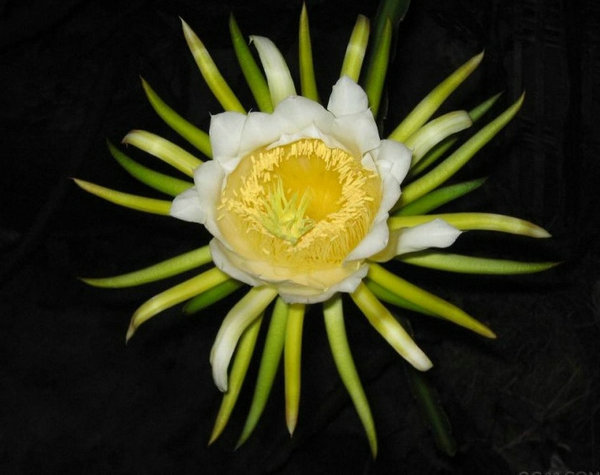 27715349_8.jpg