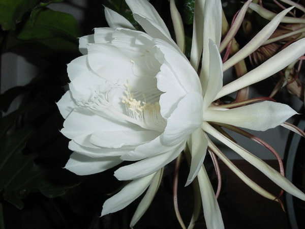 27715349_9.jpg