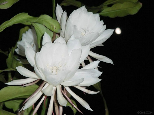 27715349_10.jpg