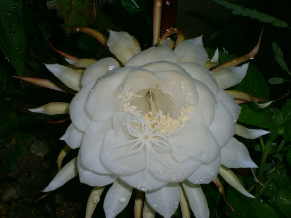 27715349_12.jpg