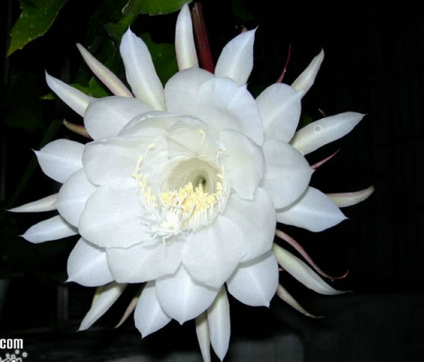 27715349_14.jpg