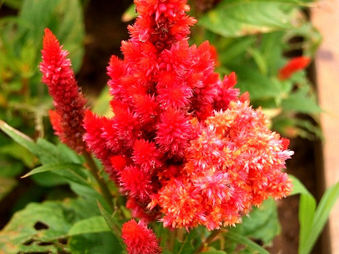 27251705_11.jpg