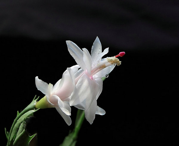 26410174_6.jpg