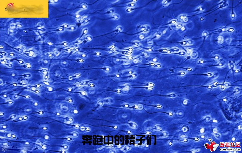 ѵһӽǵ ͼ˵ȫ -  - ֵĲ1.jpg