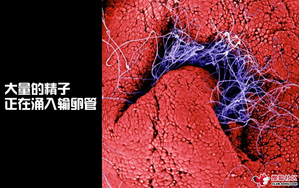 ѵһӽǵ ͼ˵ȫ -  - ֵĲ4.jpg