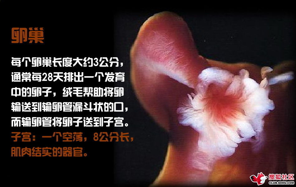ѵһӽǵ ͼ˵ȫ -  - ֵĲ12.jpg