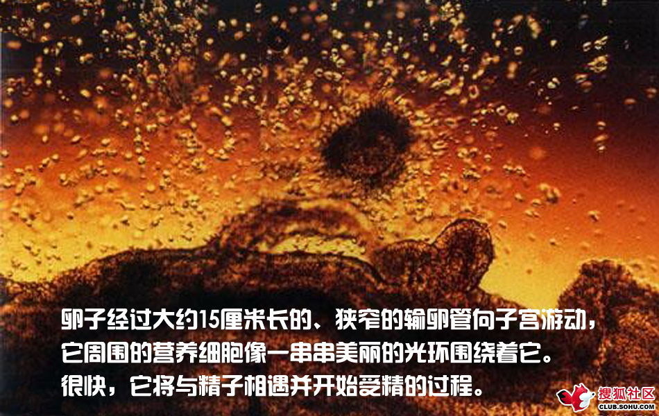 ѵһӽǵ ͼ˵ȫ -  - ֵĲ13.jpg