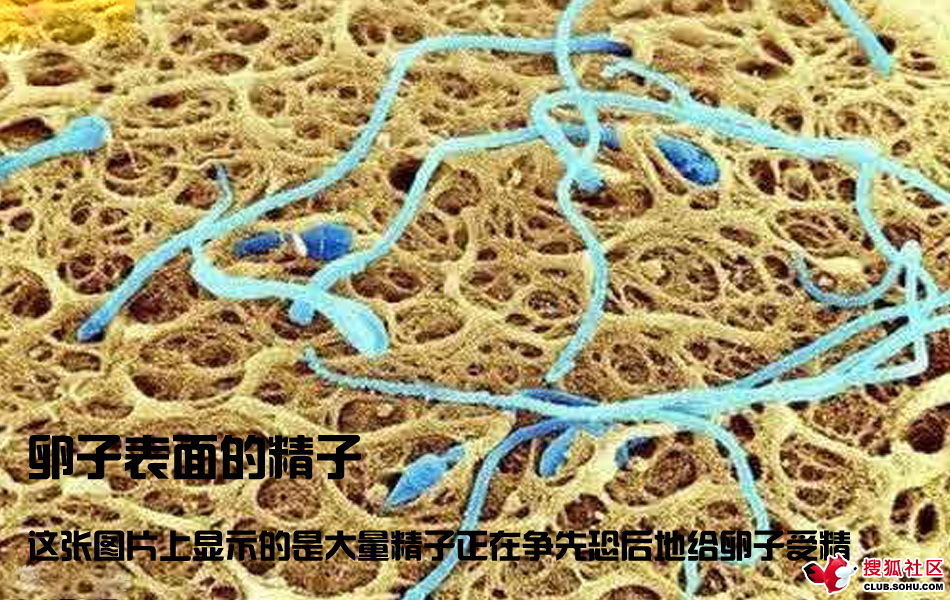 ѵһӽǵ ͼ˵ȫ -  - ֵĲ15.jpg
