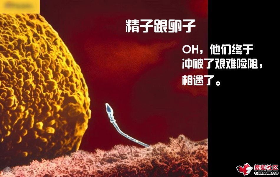 ѵһӽǵ ͼ˵ȫ -  - ֵĲ16.jpg