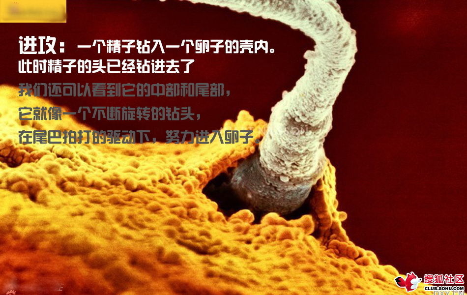ѵһӽǵ ͼ˵ȫ -  - ֵĲ17.jpg