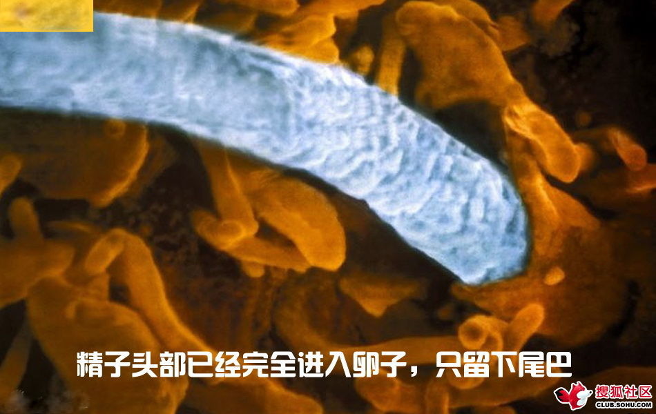 ѵһӽǵ ͼ˵ȫ -  - ֵĲ19.jpg