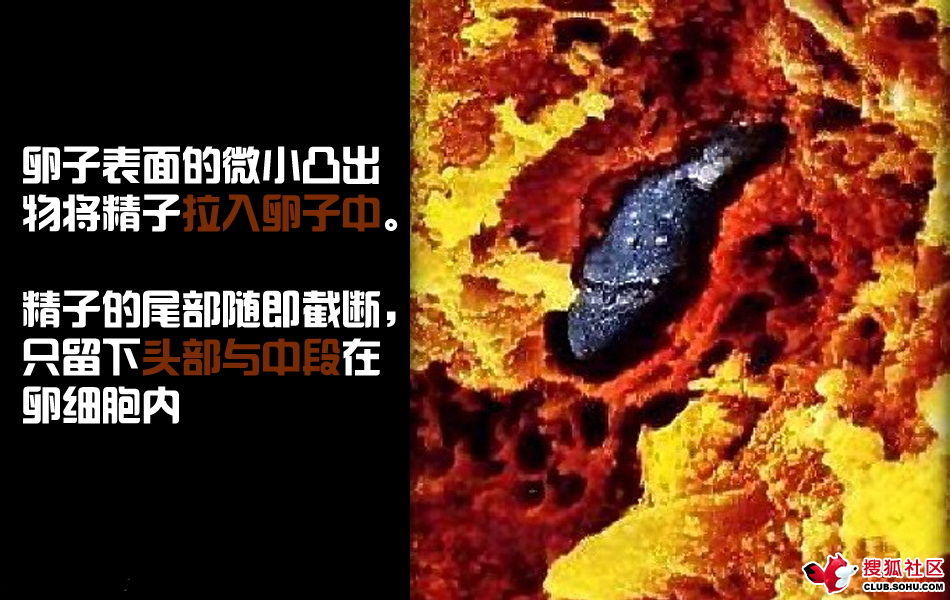 ѵһӽǵ ͼ˵ȫ -  - ֵĲ20.jpg