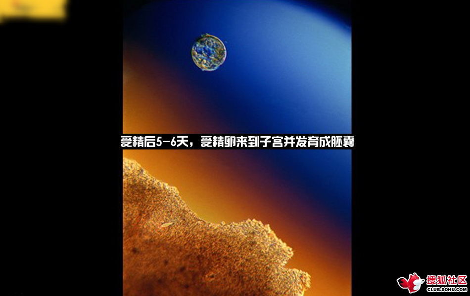 ѵһӽǵ ͼ˵ȫ -  - ֵĲ22.jpg