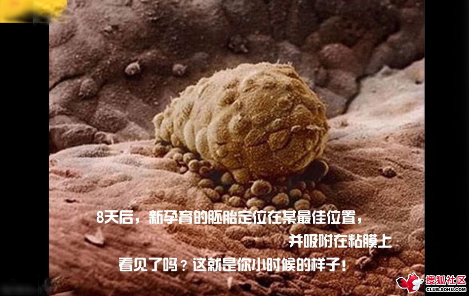 ѵһӽǵ ͼ˵ȫ -  - ֵĲ23.jpg