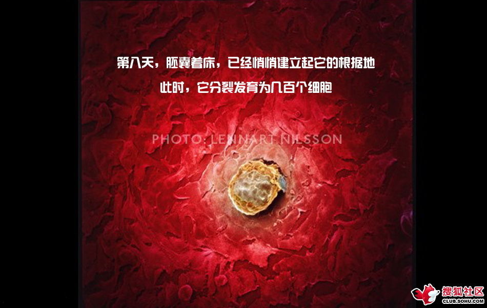 ѵһӽǵ ͼ˵ȫ -  - ֵĲ25.jpg
