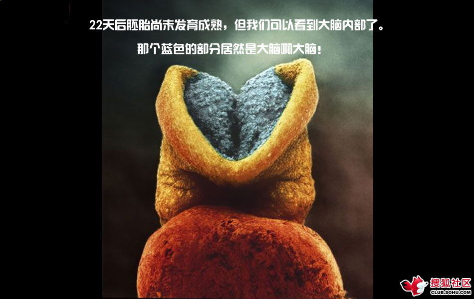 ѵһӽǵ ͼ˵ȫ -  - ֵĲ26.jpg