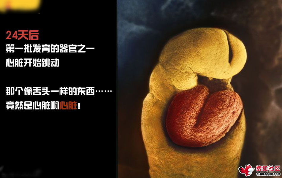 ѵһӽǵ ͼ˵ȫ -  - ֵĲ27.jpg