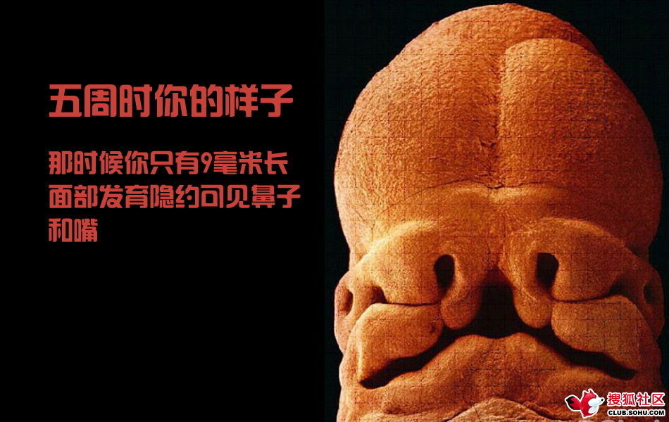ѵһӽǵ ͼ˵ȫ -  - ֵĲ29.jpg