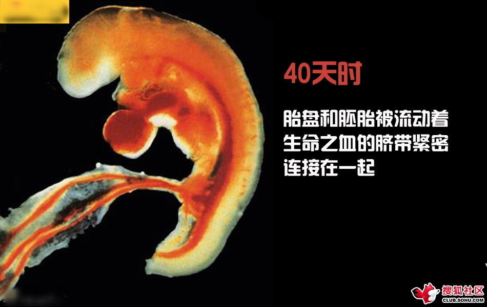 ѵһӽǵ ͼ˵ȫ -  - ֵĲ30.jpg