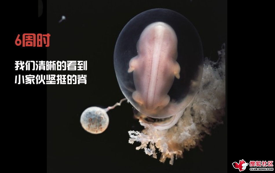 ѵһӽǵ ͼ˵ȫ -  - ֵĲ31.jpg
