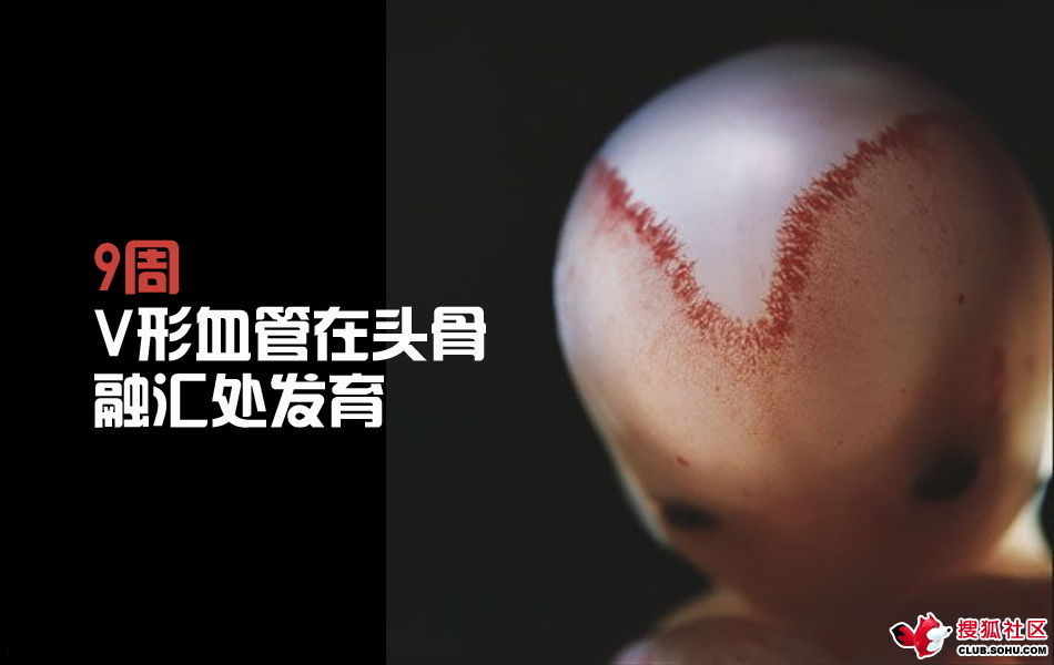 ѵһӽǵ ͼ˵ȫ -  - ֵĲ34.jpg