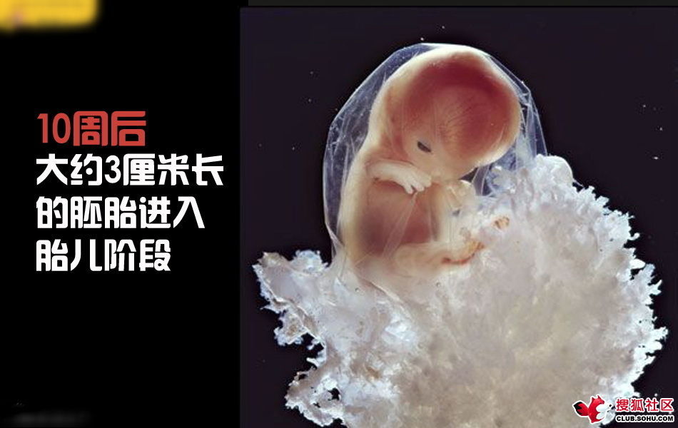 ѵһӽǵ ͼ˵ȫ -  - ֵĲ35.jpg