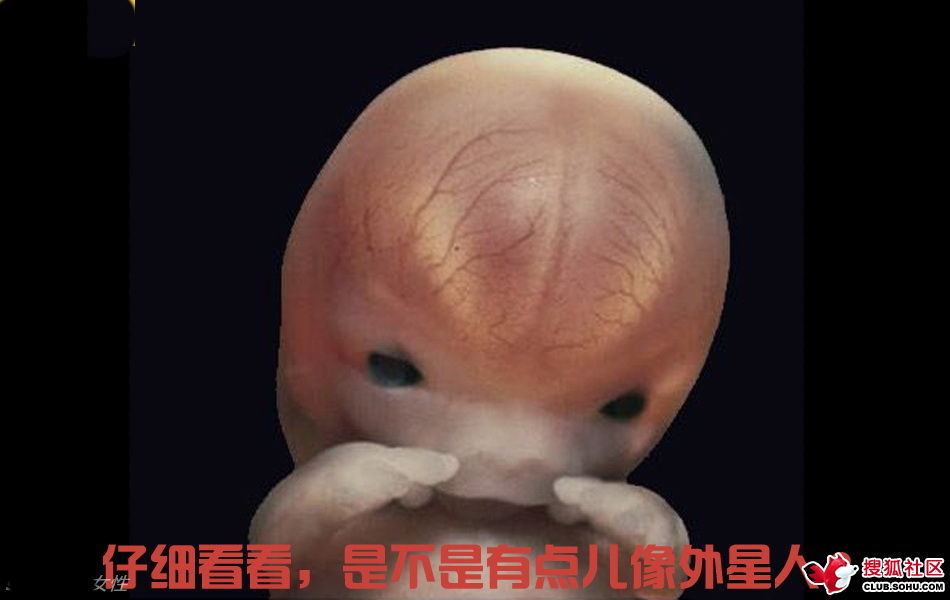 ѵһӽǵ ͼ˵ȫ -  - ֵĲ36.jpg