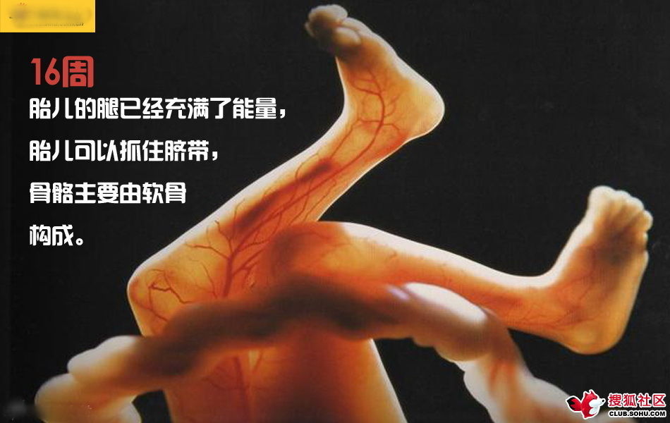 ѵһӽǵ ͼ˵ȫ -  - ֵĲ39.jpg