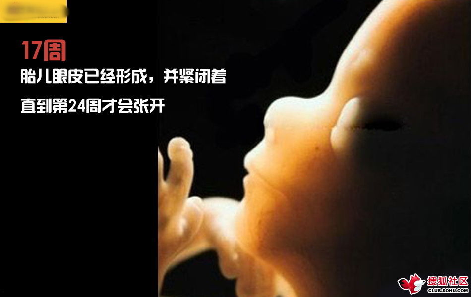 ѵһӽǵ ͼ˵ȫ -  - ֵĲ40.jpg