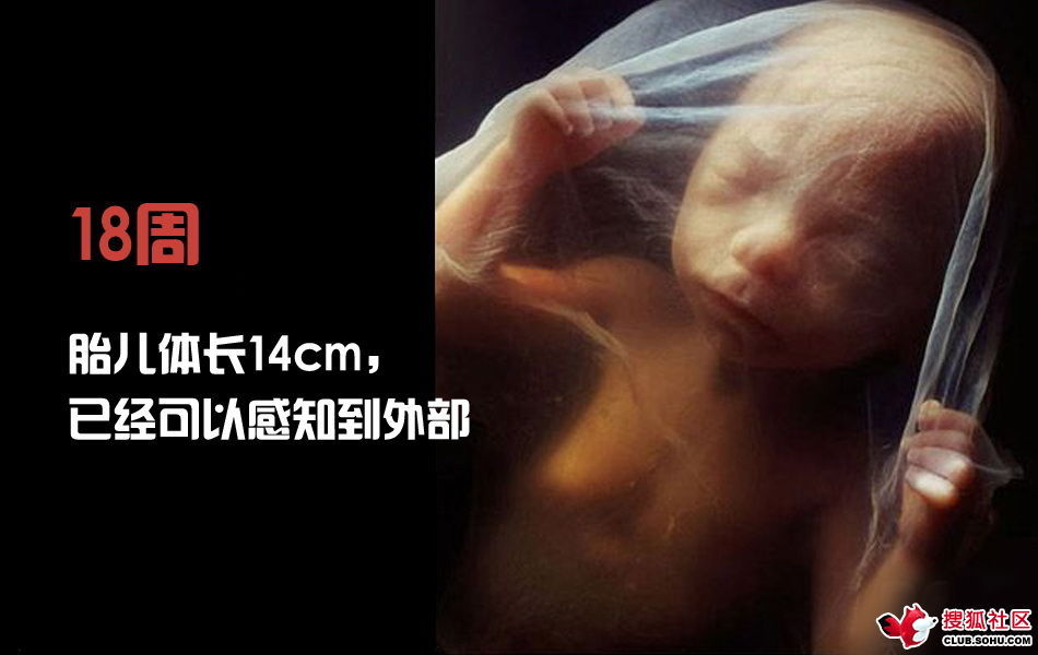 ѵһӽǵ ͼ˵ȫ -  - ֵĲ41.jpg