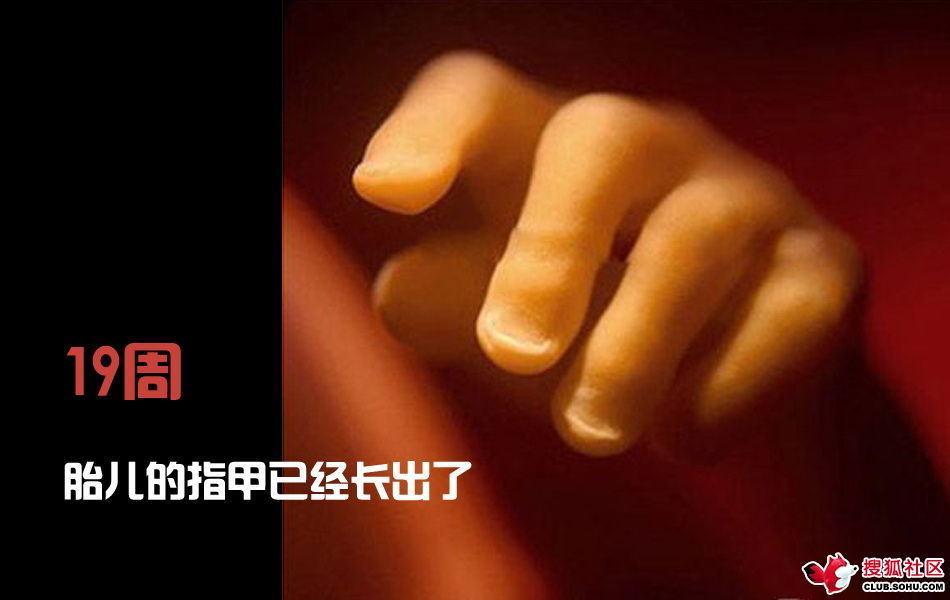 ѵһӽǵ ͼ˵ȫ -  - ֵĲ42.jpg
