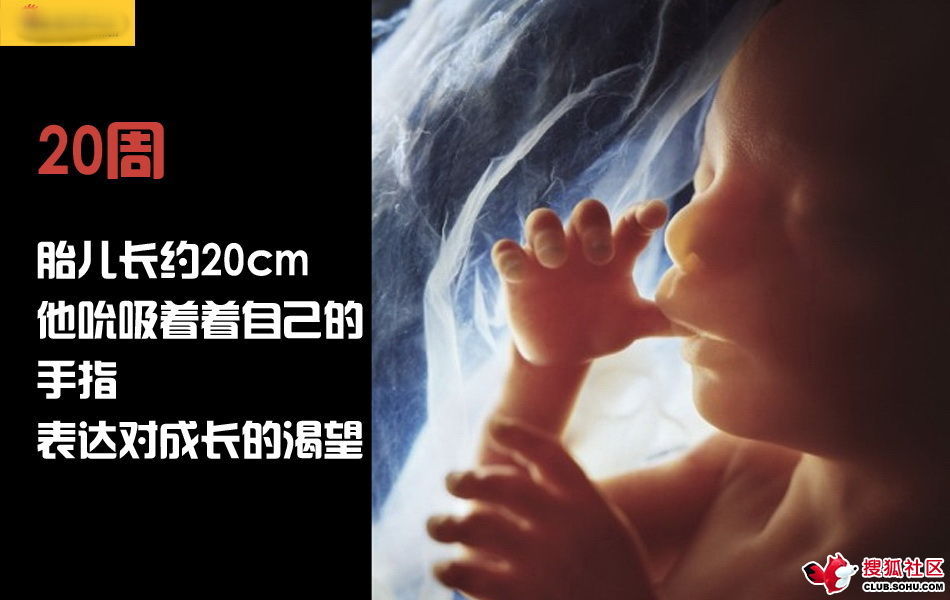 ѵһӽǵ ͼ˵ȫ -  - ֵĲ43.jpg