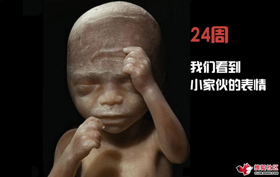 ѵһӽǵ ͼ˵ȫ -  - ֵĲ45.jpg