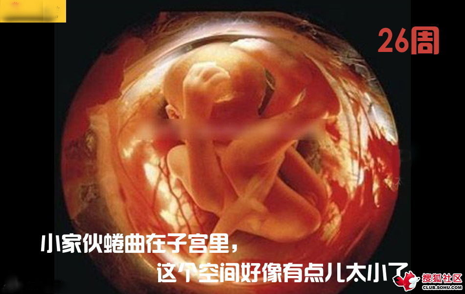 ѵһӽǵ ͼ˵ȫ -  - ֵĲ46.jpg