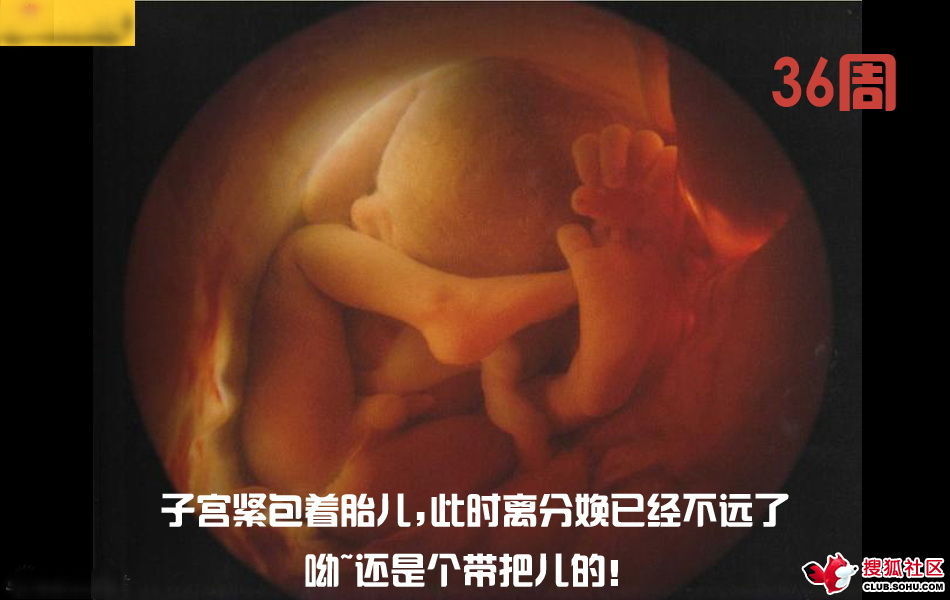 ѵһӽǵ ͼ˵ȫ -  - ֵĲ47.jpg
