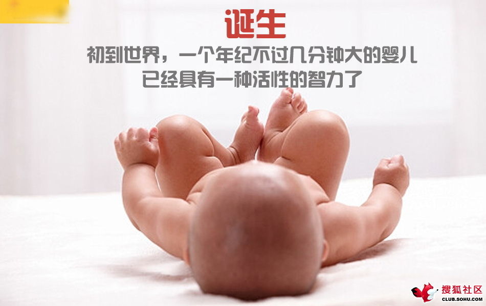ѵһӽǵ ͼ˵ȫ -  - ֵĲ48.jpg