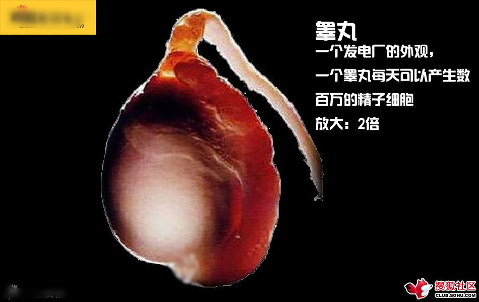 ѵһӽǵ ͼ˵ȫ -  - ֵĲ.jpg