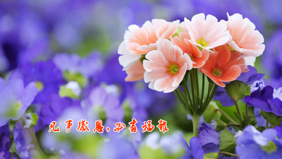 ScreenShot00157.jpg