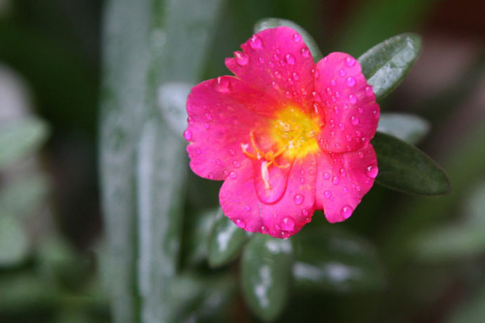 60d27f6dgx6BTRez50Zb9&690.jpg